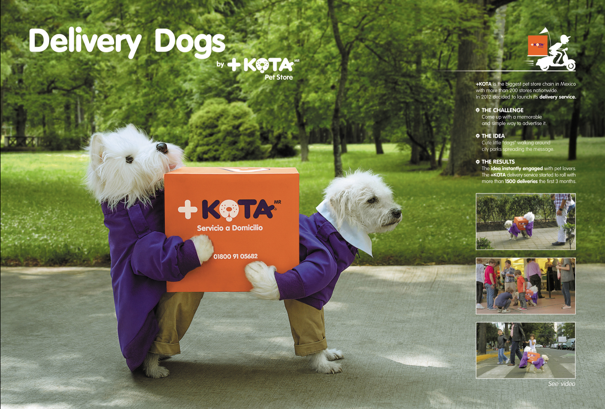 +KOTA Delivery Dogs Case Study Board
